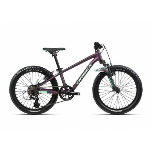 BICICLETA ORBEA MX 20 XC (2023)